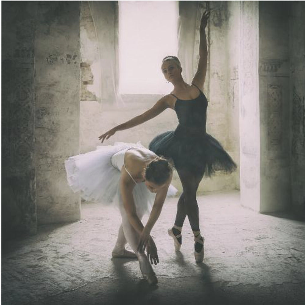 the subtle bow - Poster / Art Print