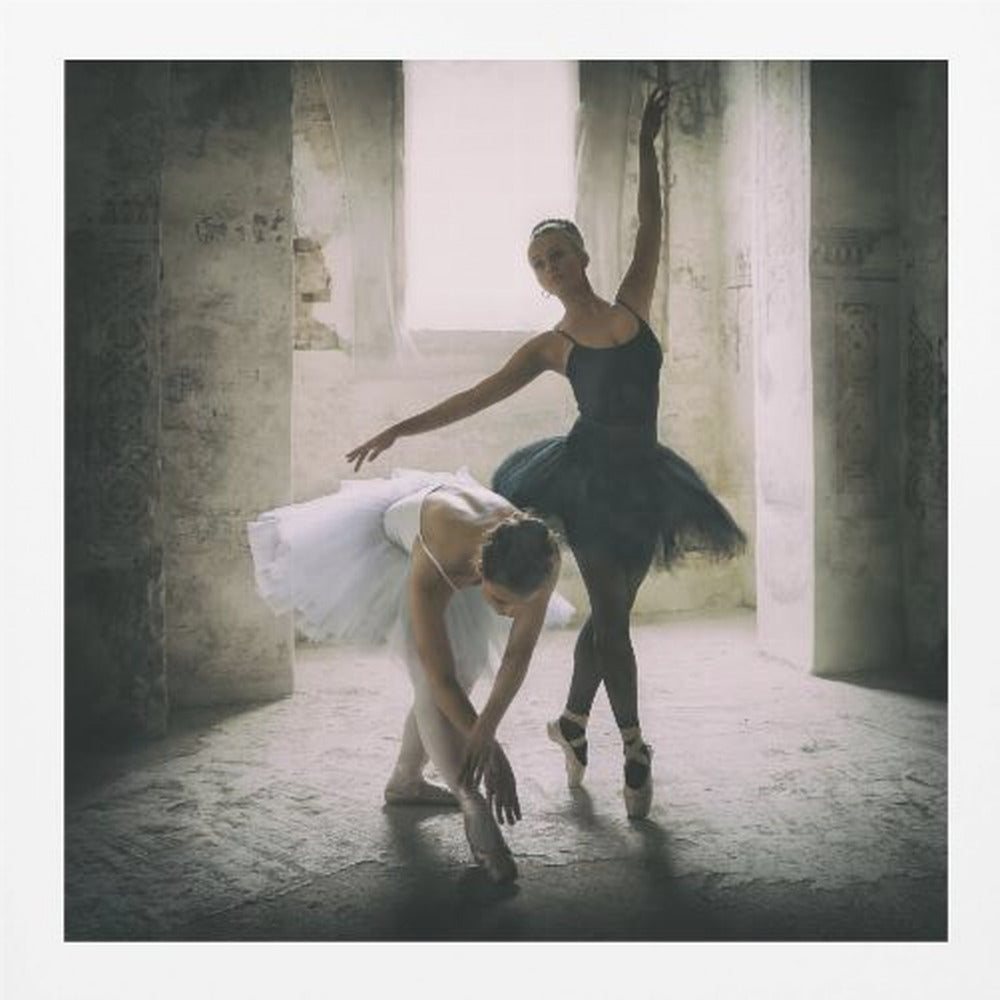 the subtle bow - Poster / Art Print