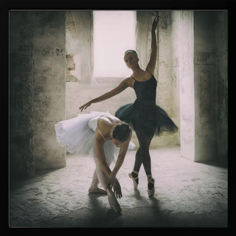 the subtle bow - Poster / Art Print