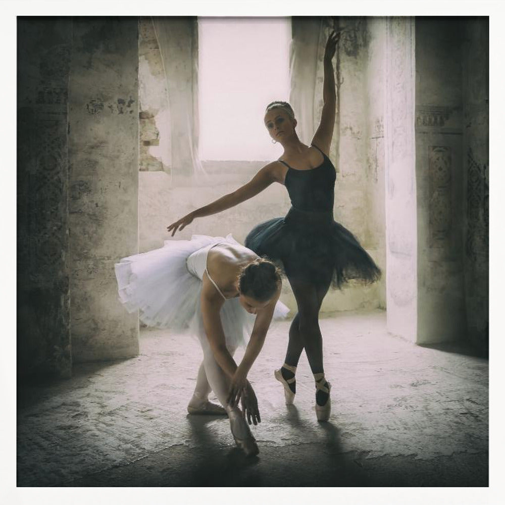 the subtle bow - Poster / Art Print