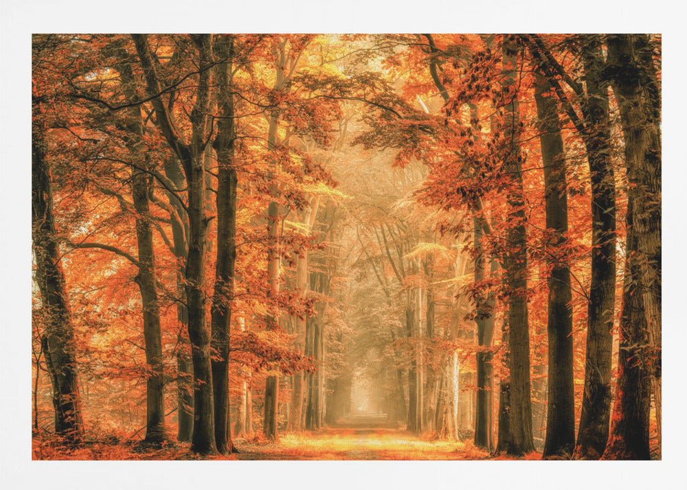Exit the Portal - Poster / Art Print