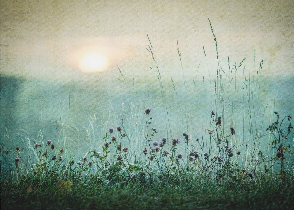 Autumn sunrise - Poster / Art Print