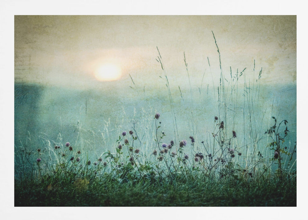 Autumn sunrise - Poster / Art Print