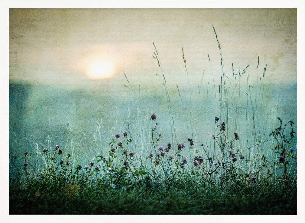Autumn sunrise - Poster / Art Print