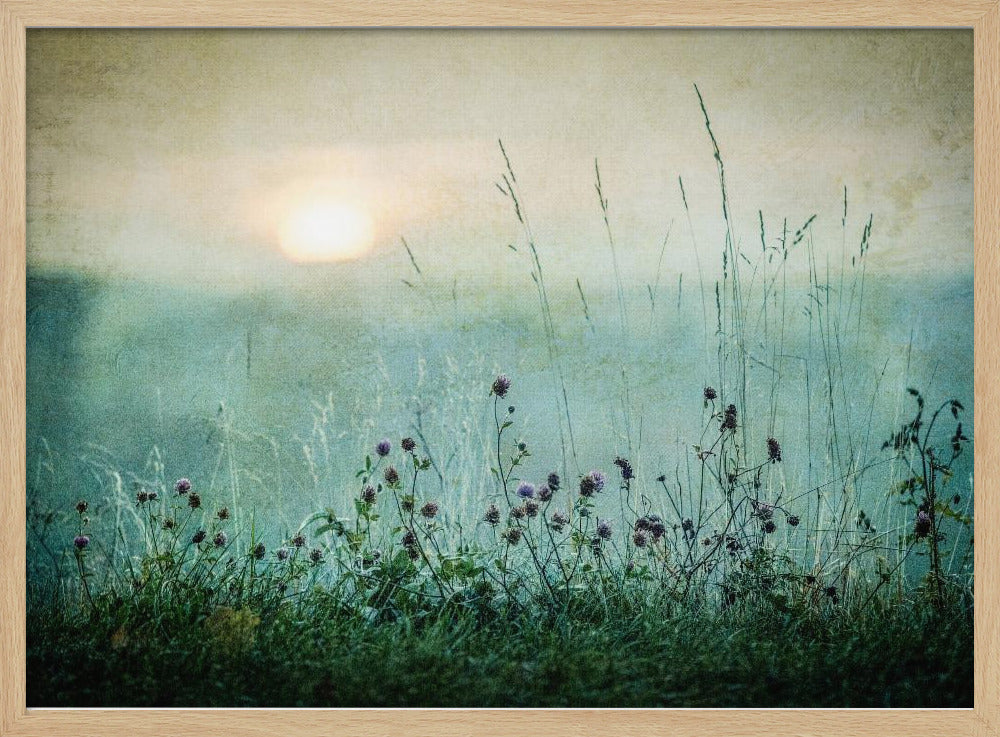 Autumn sunrise - Poster / Art Print