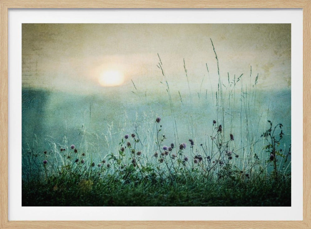 Autumn sunrise - Poster / Art Print