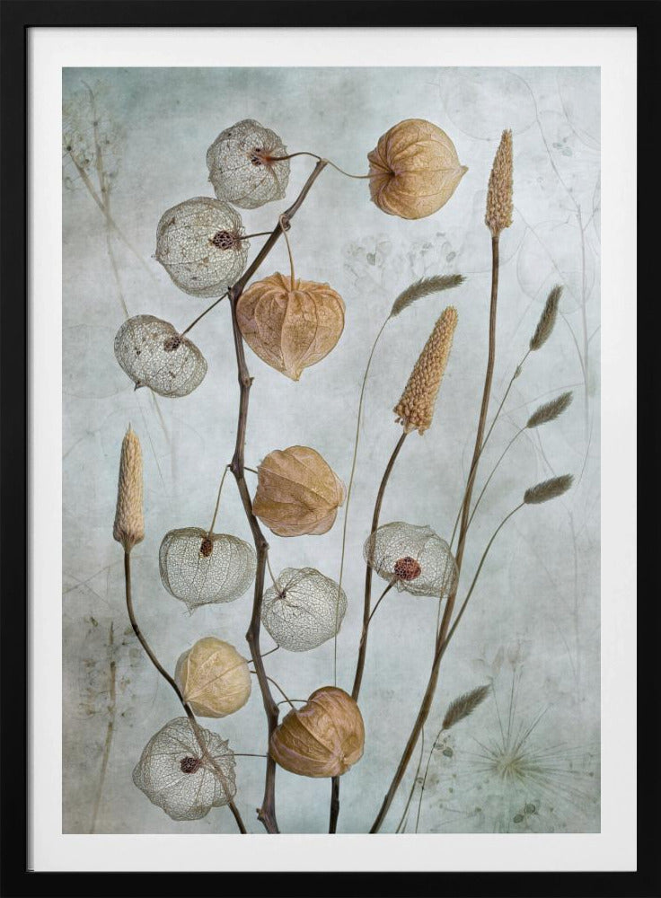 Lanterns* - Poster / Art Print