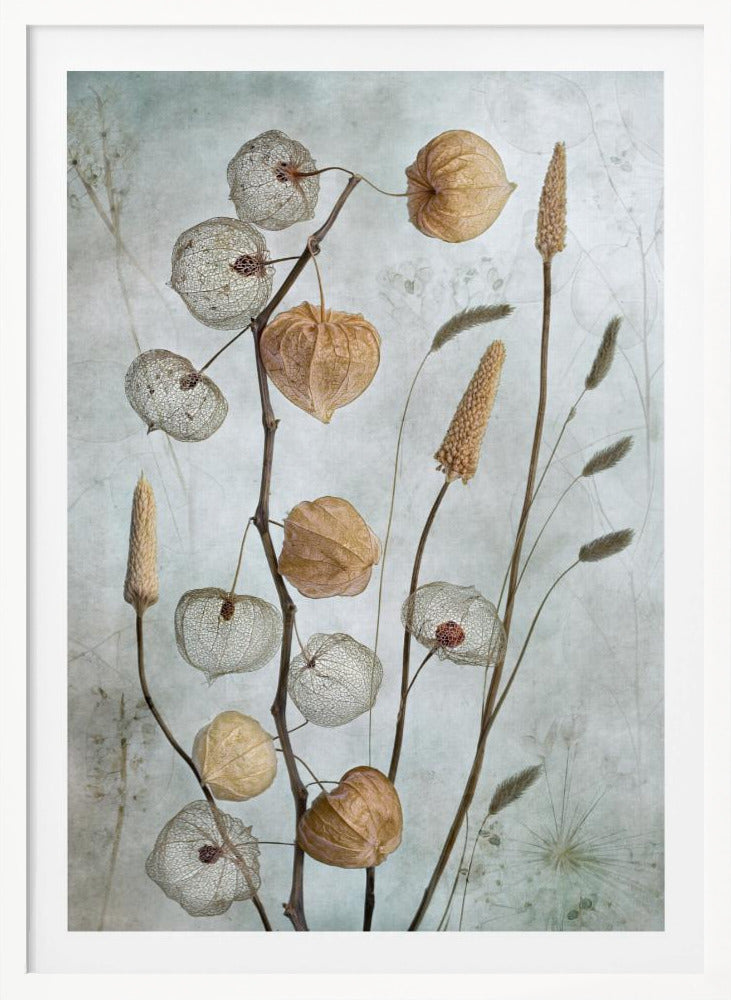 Lanterns* - Poster / Art Print