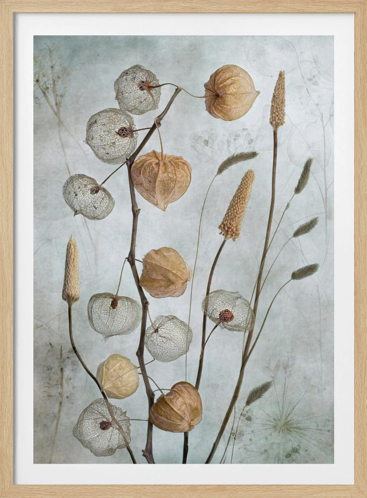 Lanterns* - Poster / Art Print