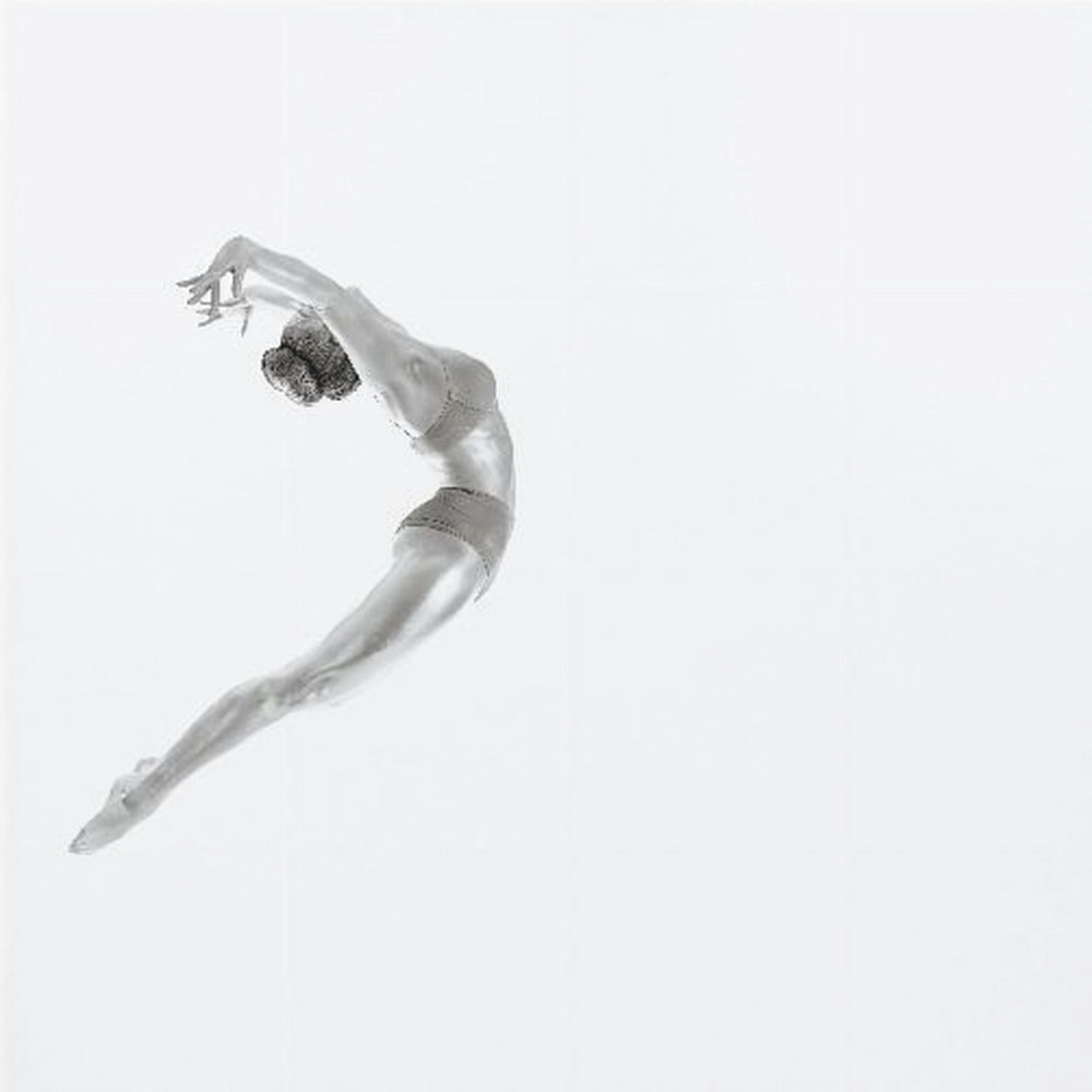 Flight - Gymnastics Series - Poster / Art Print
