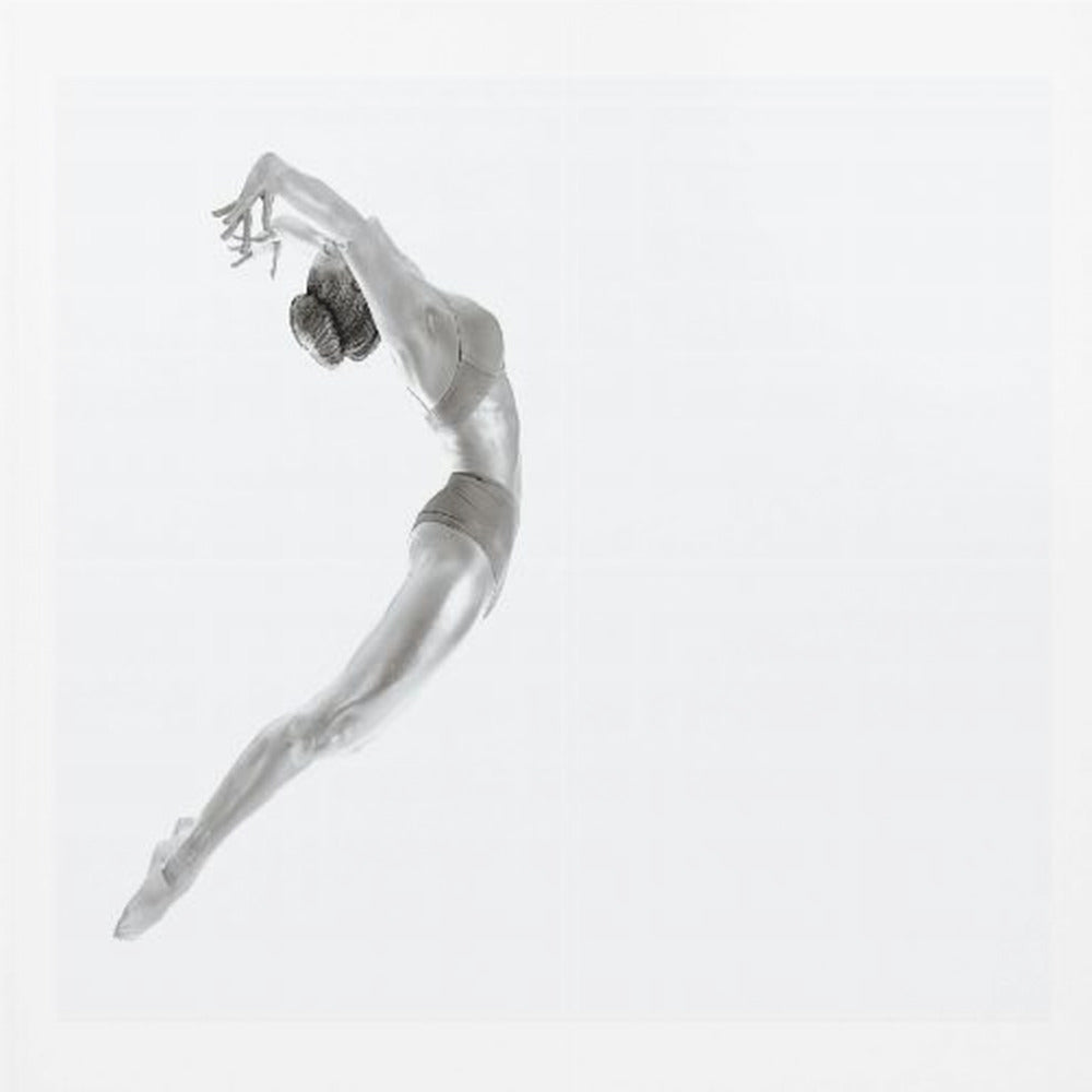 Flight - Gymnastics Series - Poster / Art Print