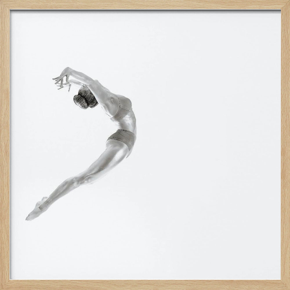 Flight - Gymnastics Series - Poster / Art Print