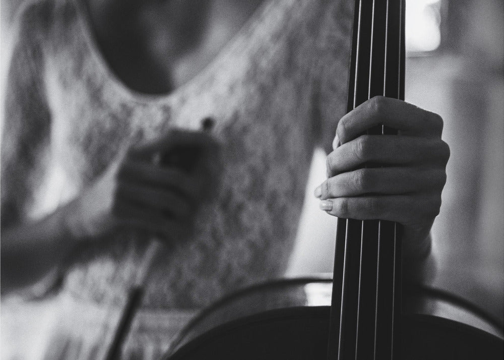 break for the cello - Poster / Art Print