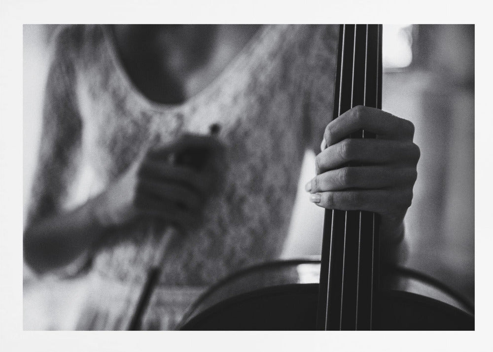 break for the cello - Poster / Art Print