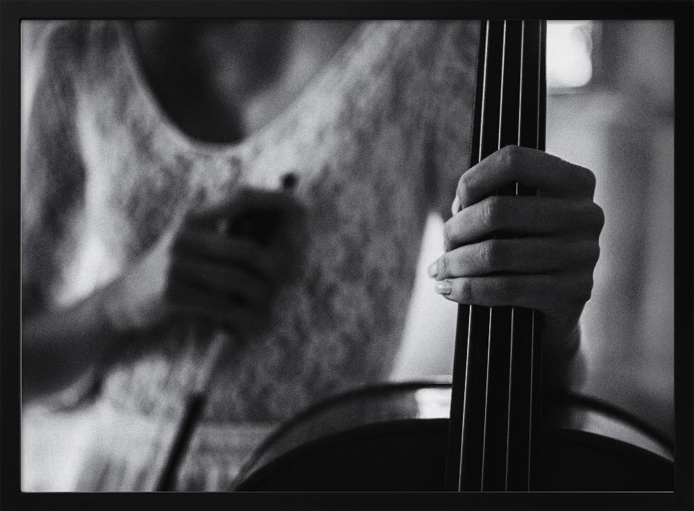 break for the cello - Poster / Art Print