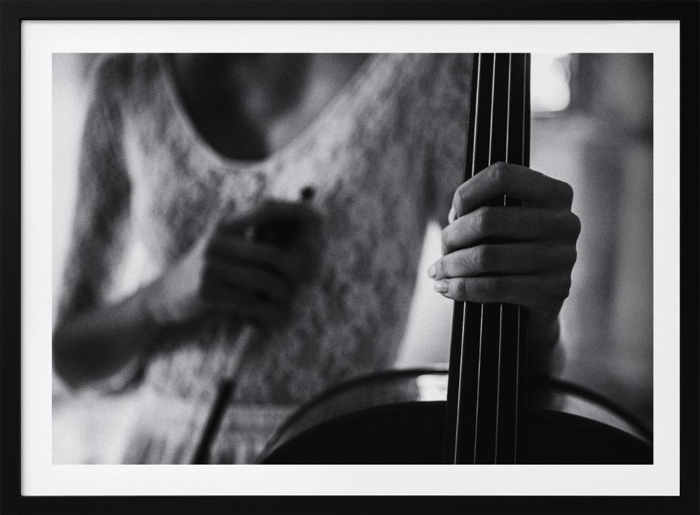 break for the cello - Poster / Art Print