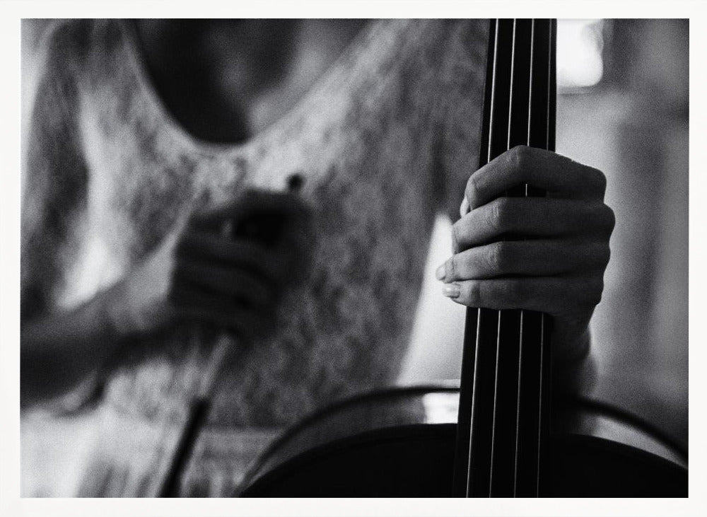 break for the cello - Poster / Art Print