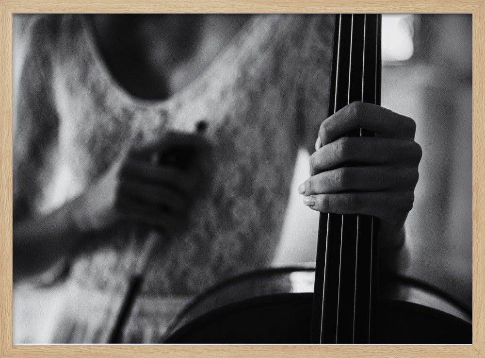 break for the cello - Poster / Art Print