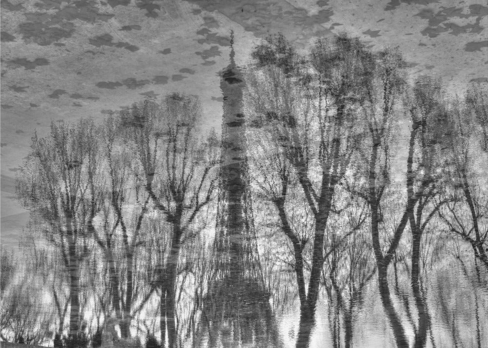 Reflection - Poster / Art Print