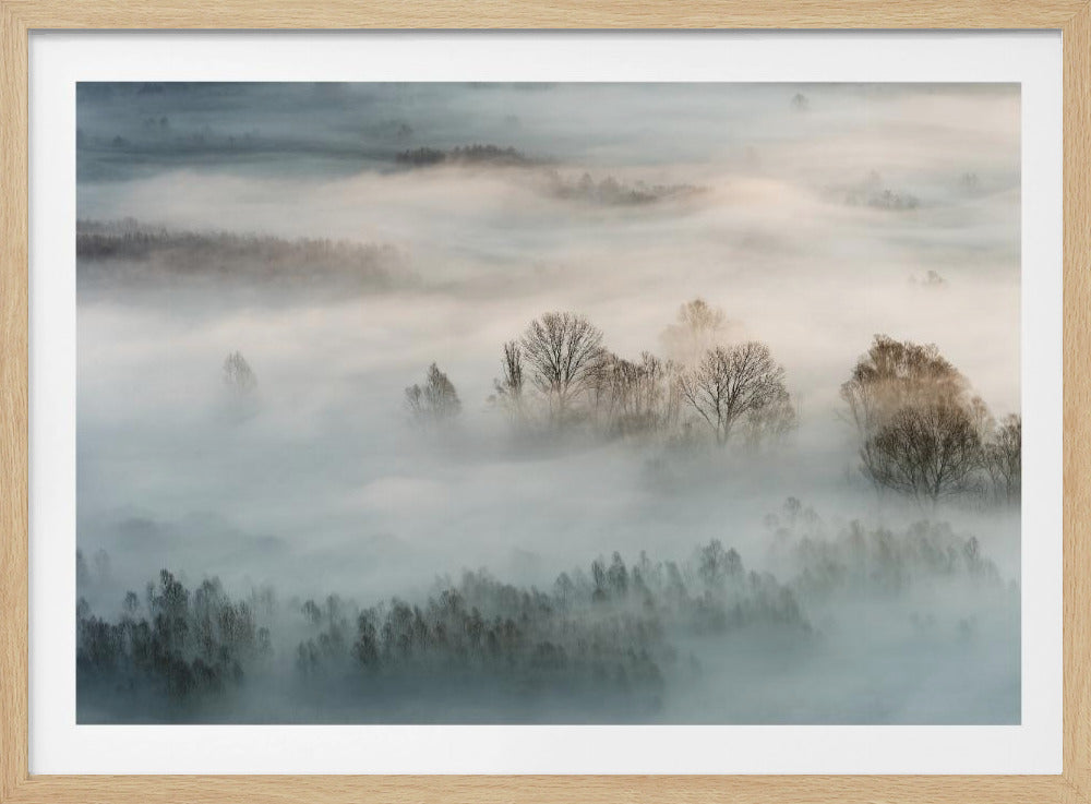 Winter fog - Poster / Art Print