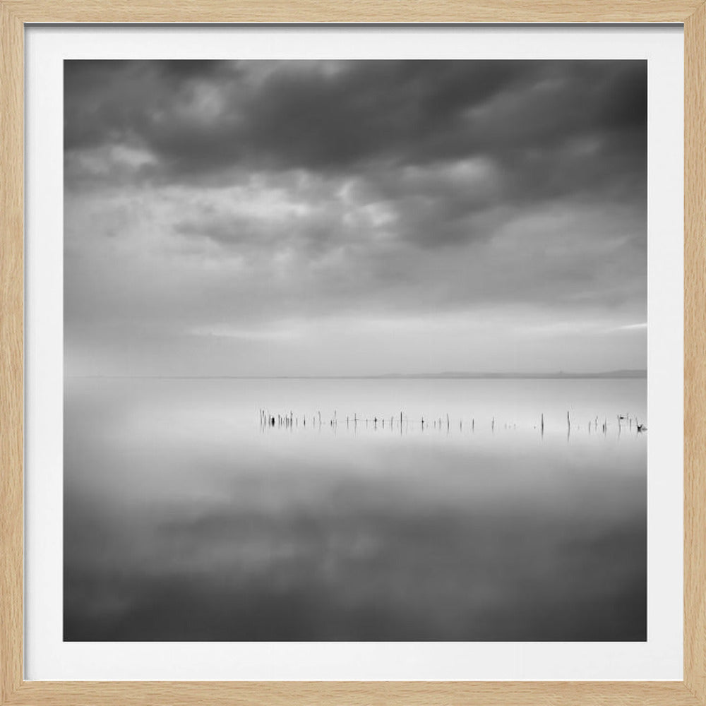 Sixty shades of gray - Poster / Art Print
