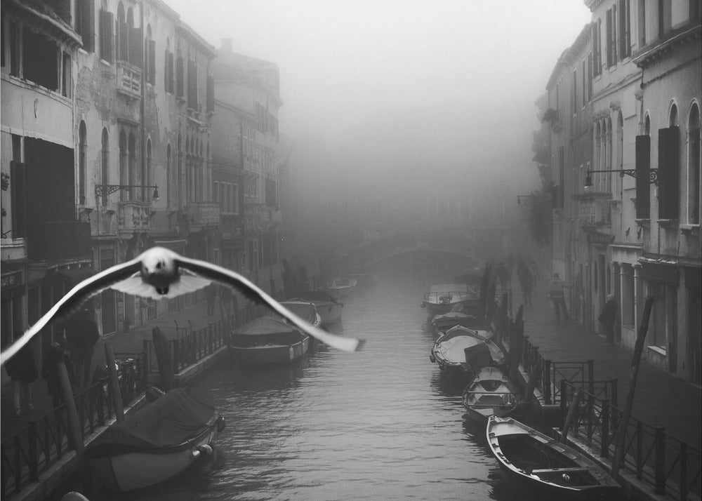 Seagull from the mist - Poster / Art Print