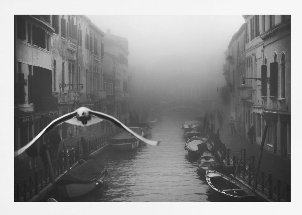 Seagull from the mist - Poster / Art Print