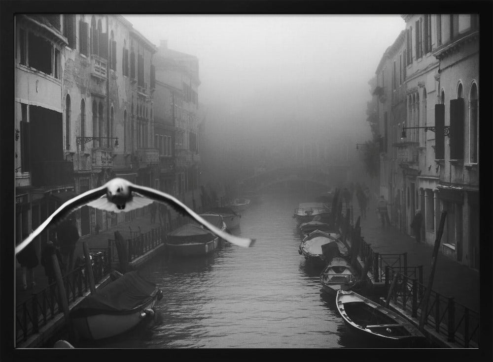 Seagull from the mist - Poster / Art Print