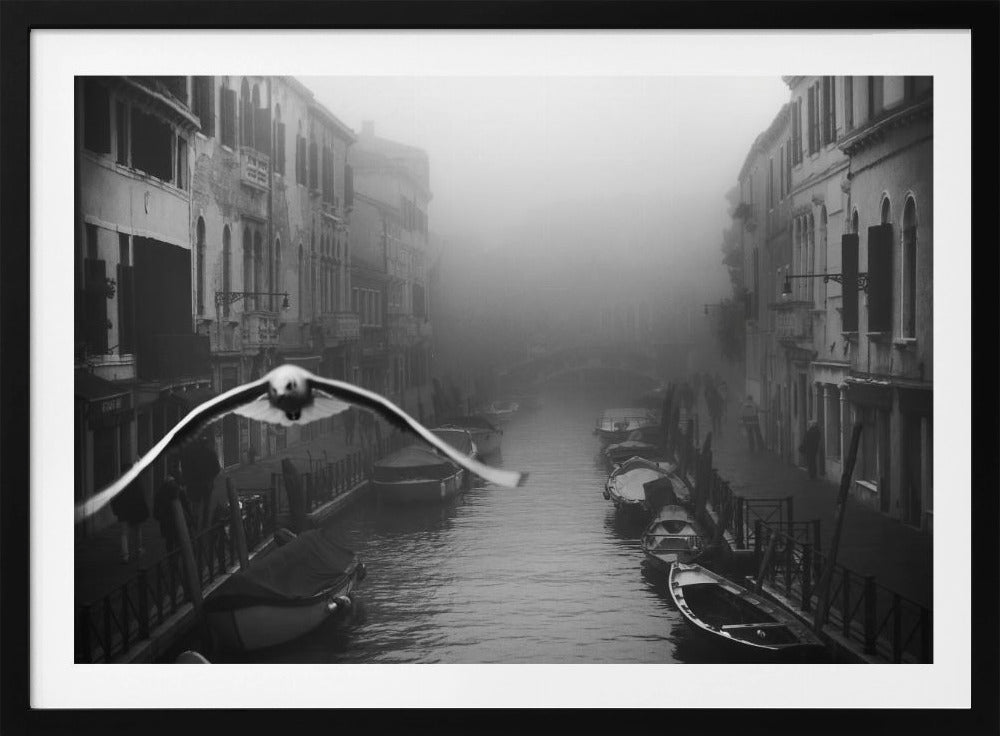 Seagull from the mist - Poster / Art Print