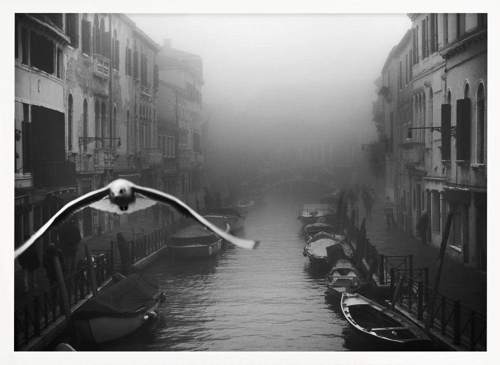 Seagull from the mist - Poster / Art Print