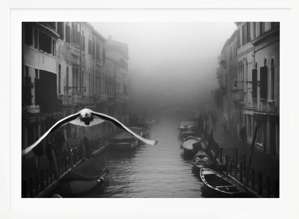 Seagull from the mist - Poster / Art Print