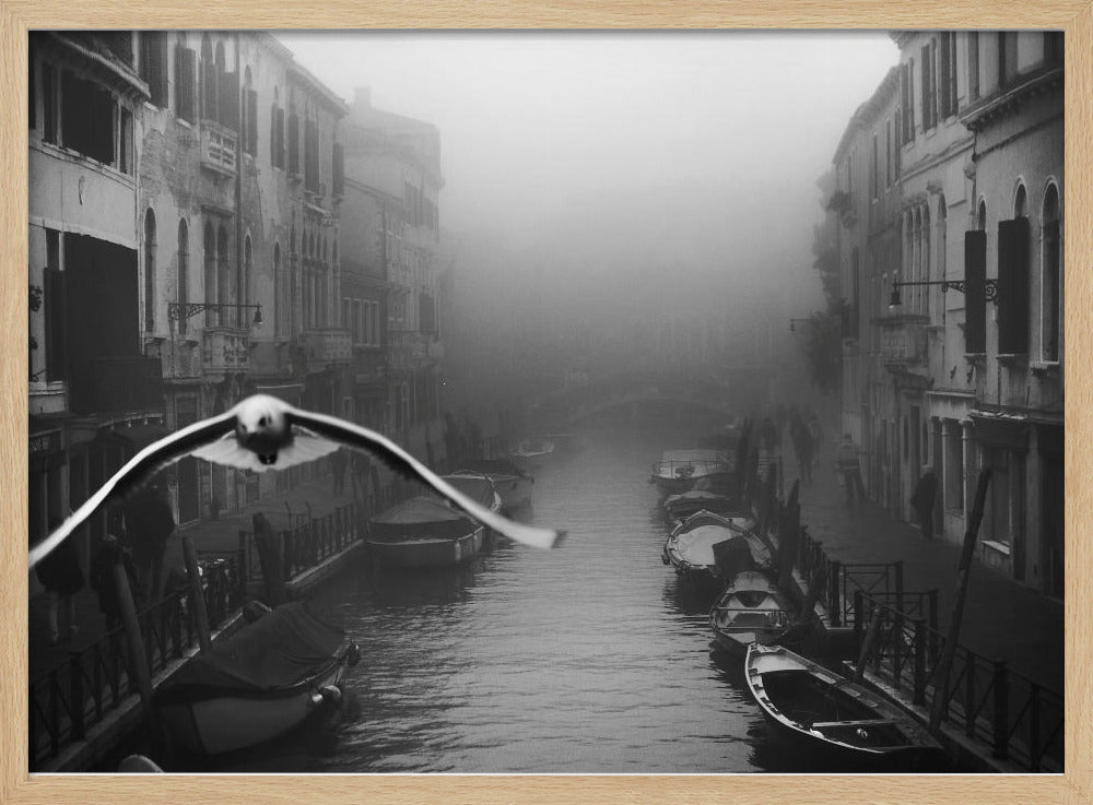 Seagull from the mist - Poster / Art Print