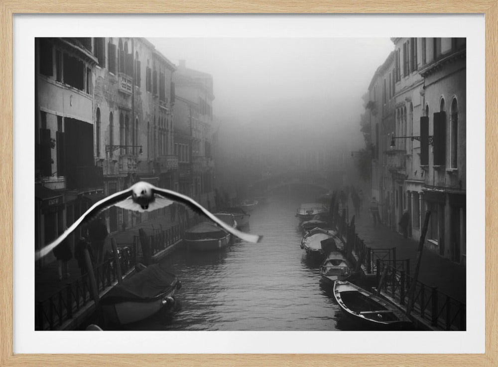 Seagull from the mist - Poster / Art Print