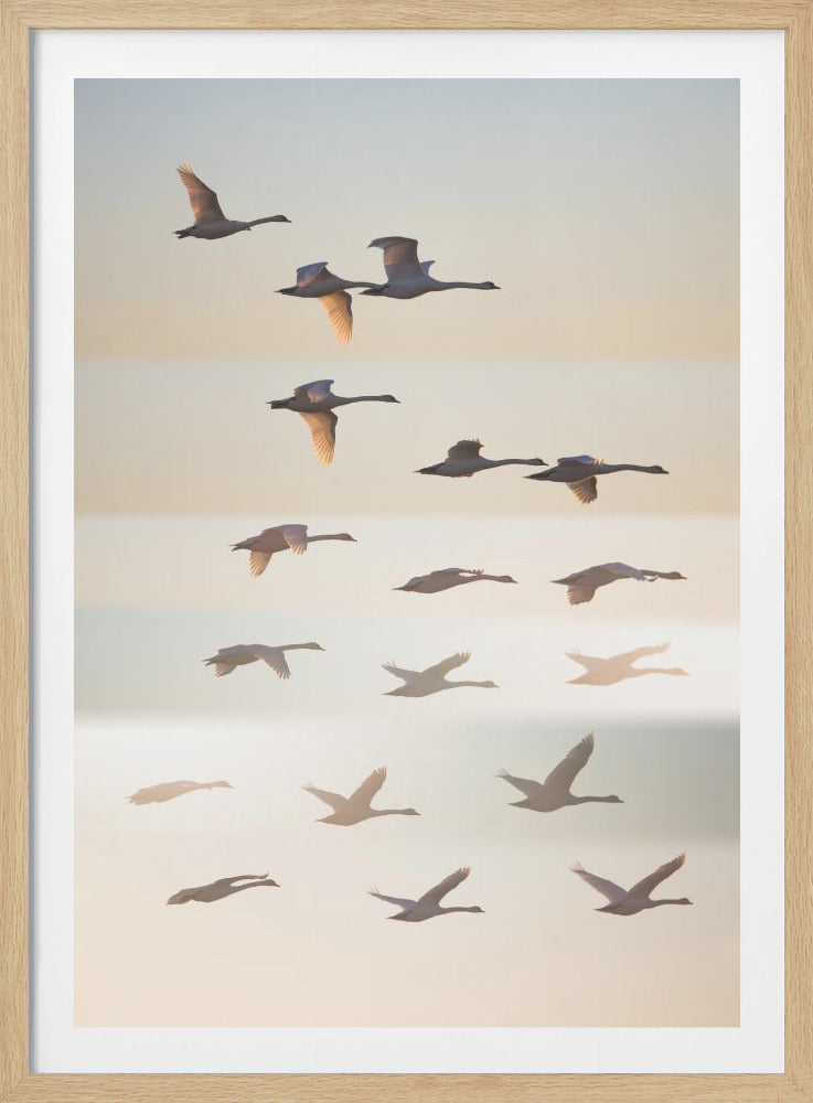 Past the sun. - Posters / Art Prints