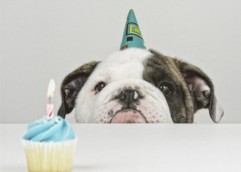 A Little Birthday - Poster / Art Print