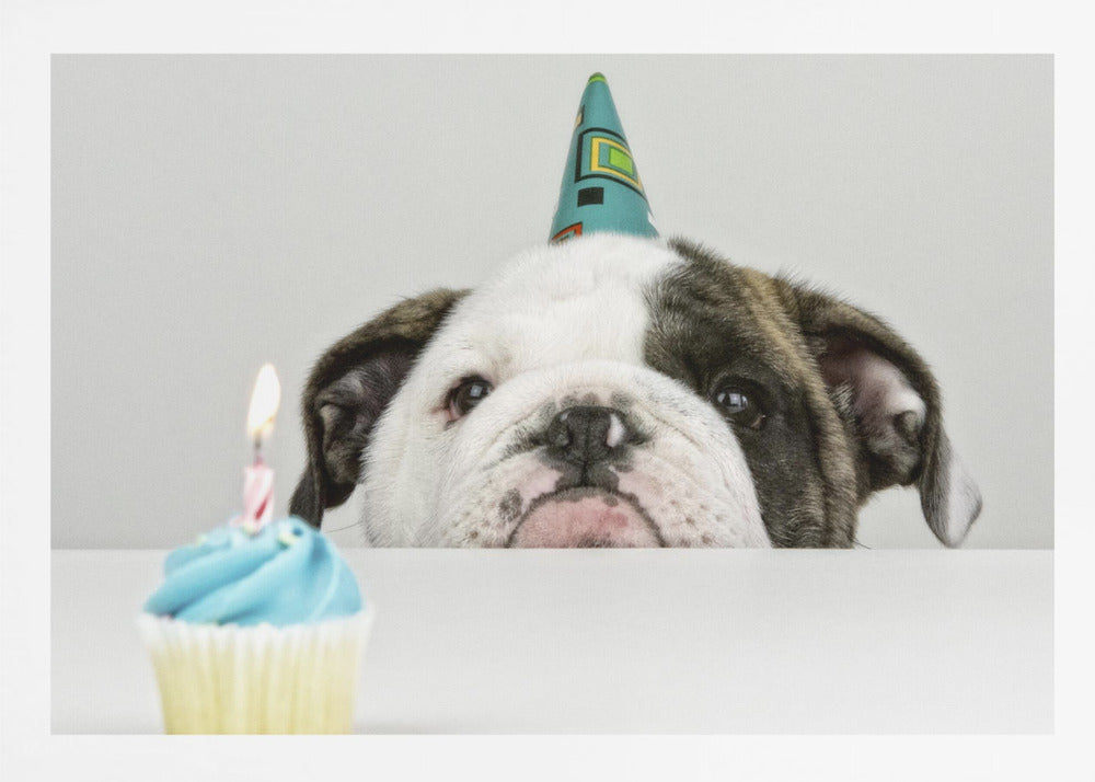 A Little Birthday - Poster / Art Print