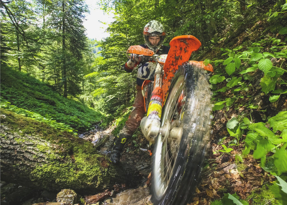 Carpath Enduro - Poster / Art Print
