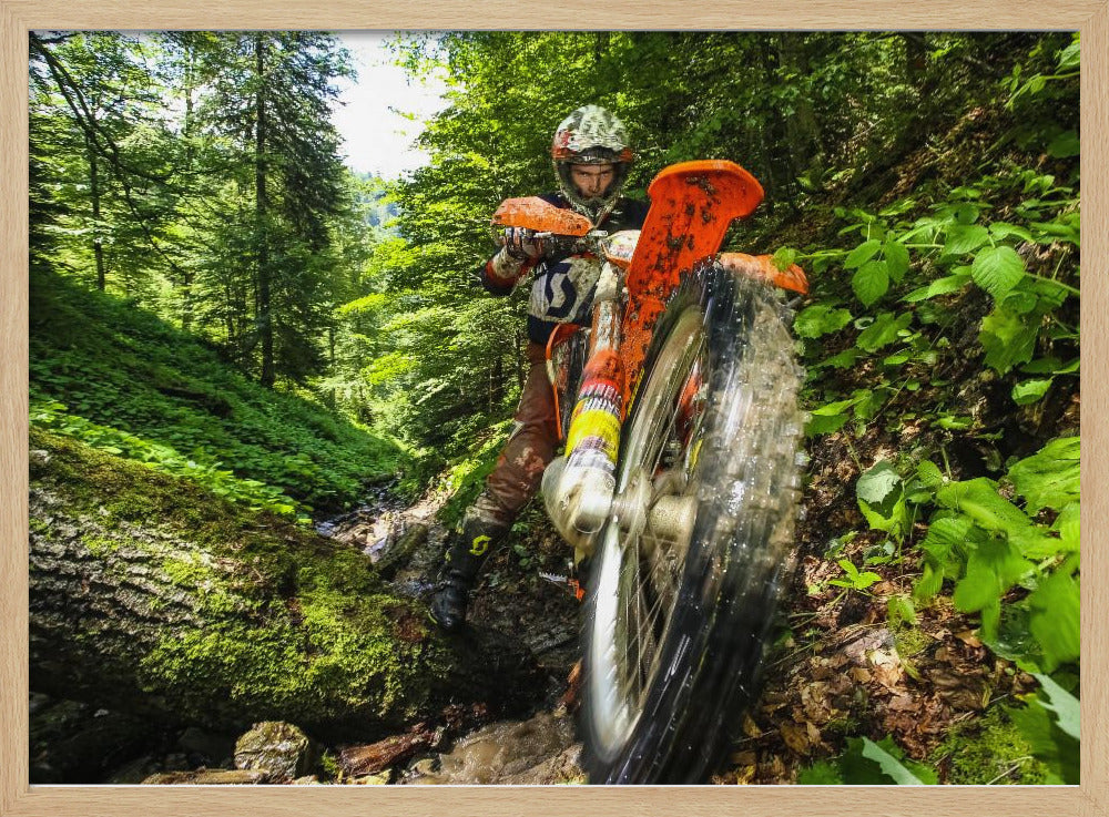 Carpath Enduro - Poster / Art Print