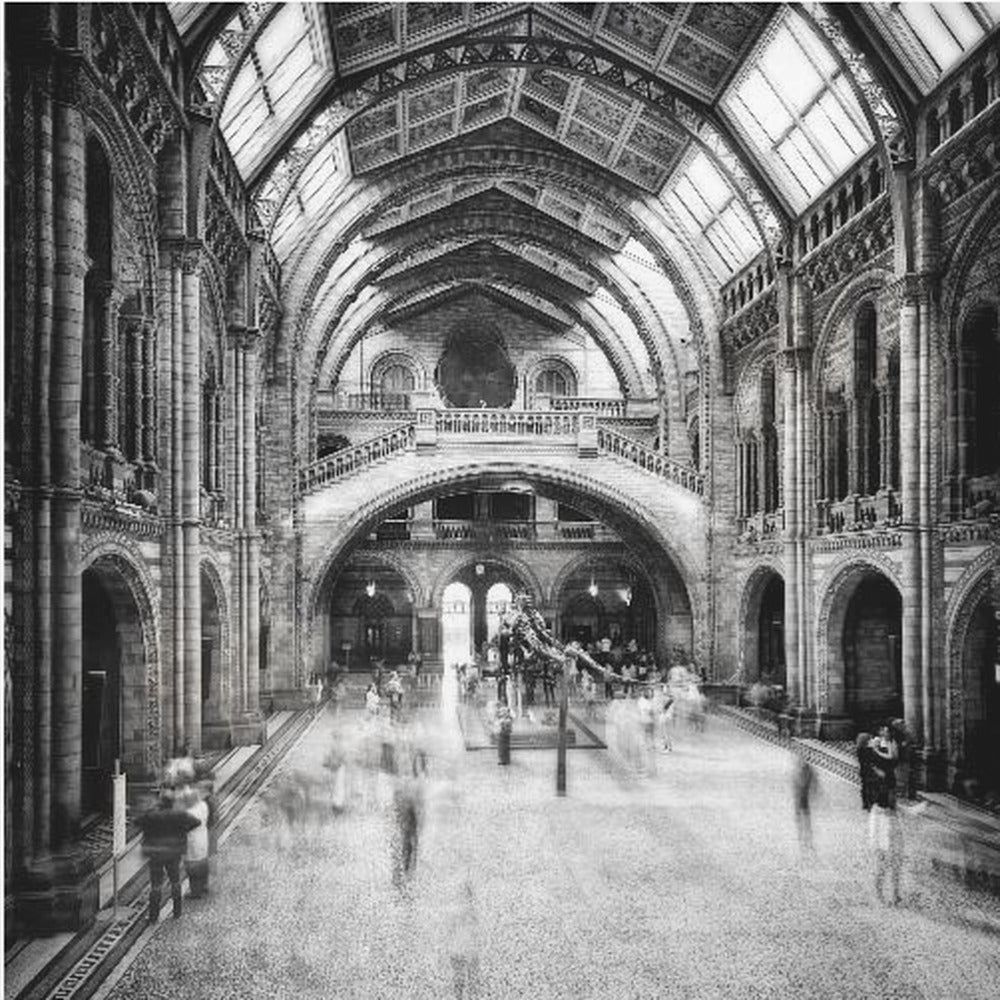 Natural History Museum of London - Poster / Art Print