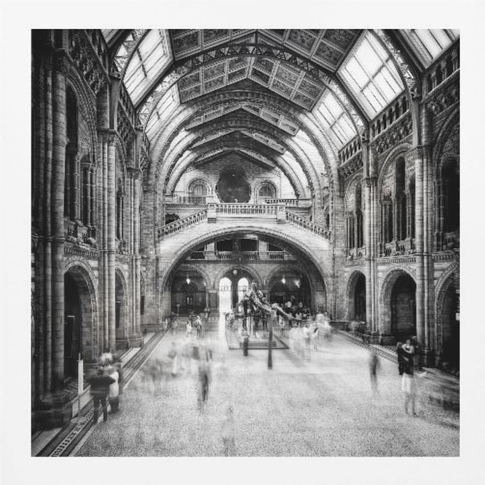 Natural History Museum of London - Poster / Art Print