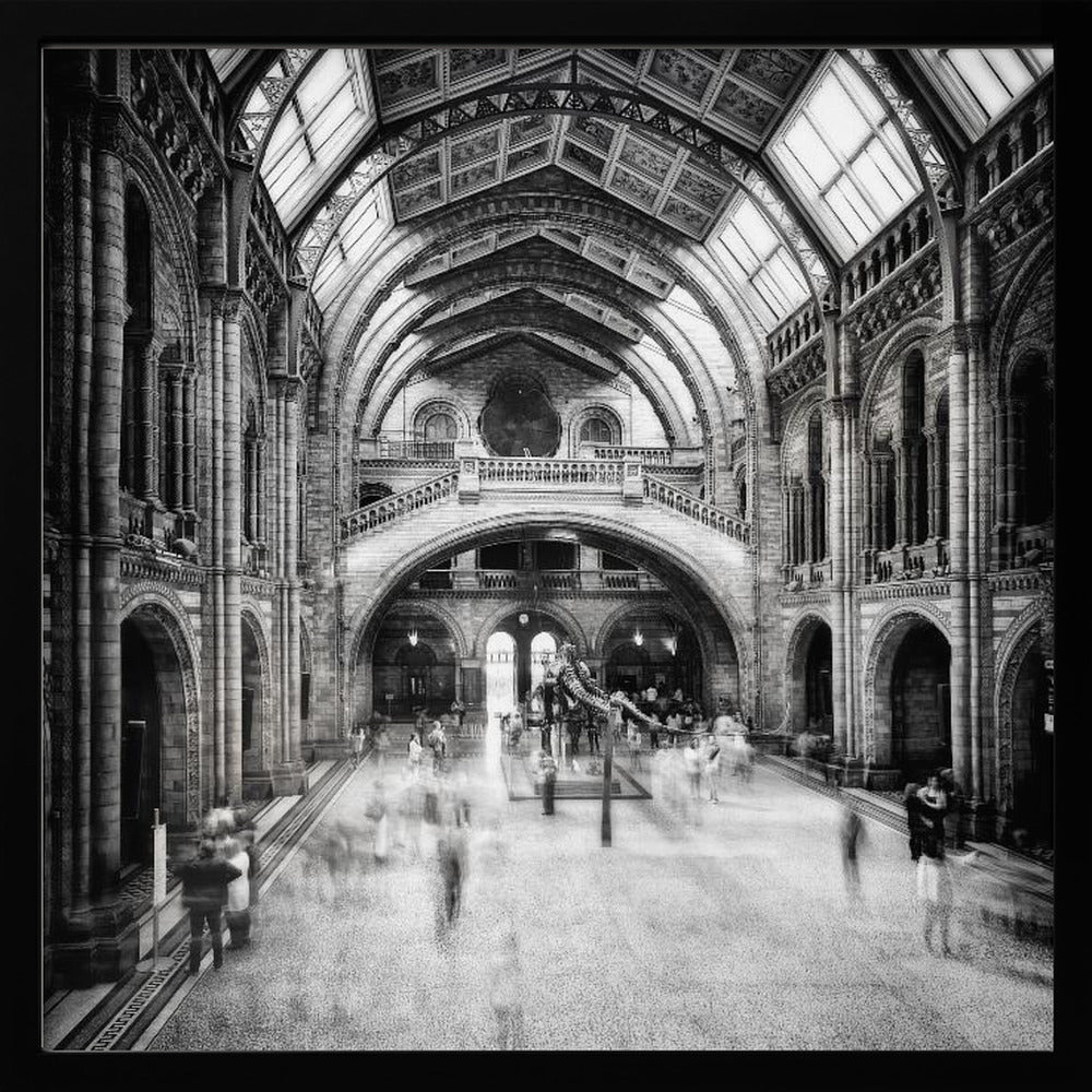 Natural History Museum of London - Poster / Art Print