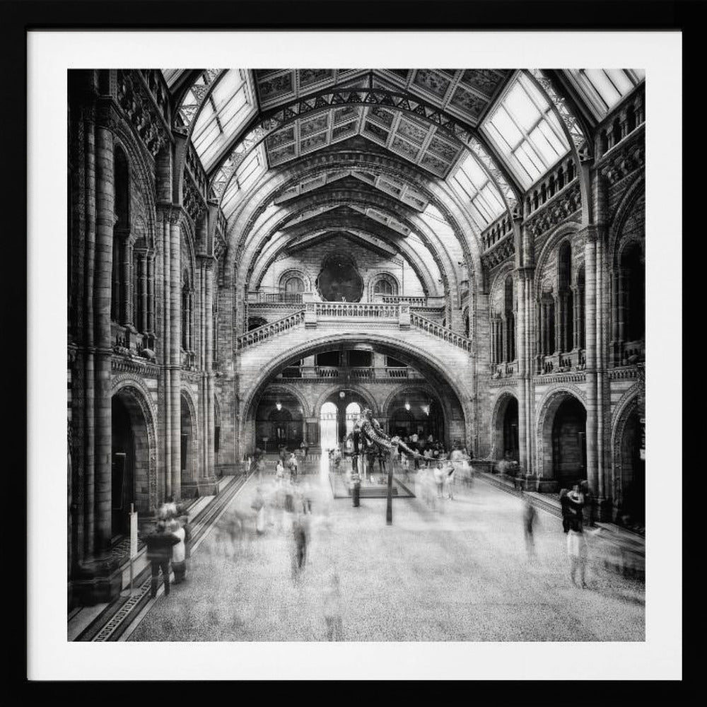 Natural History Museum of London - Poster / Art Print