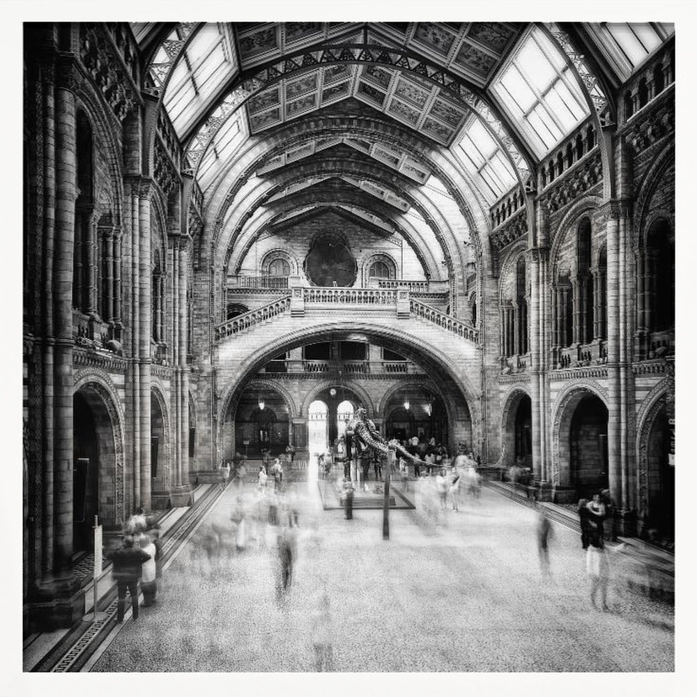 Natural History Museum of London - Poster / Art Print
