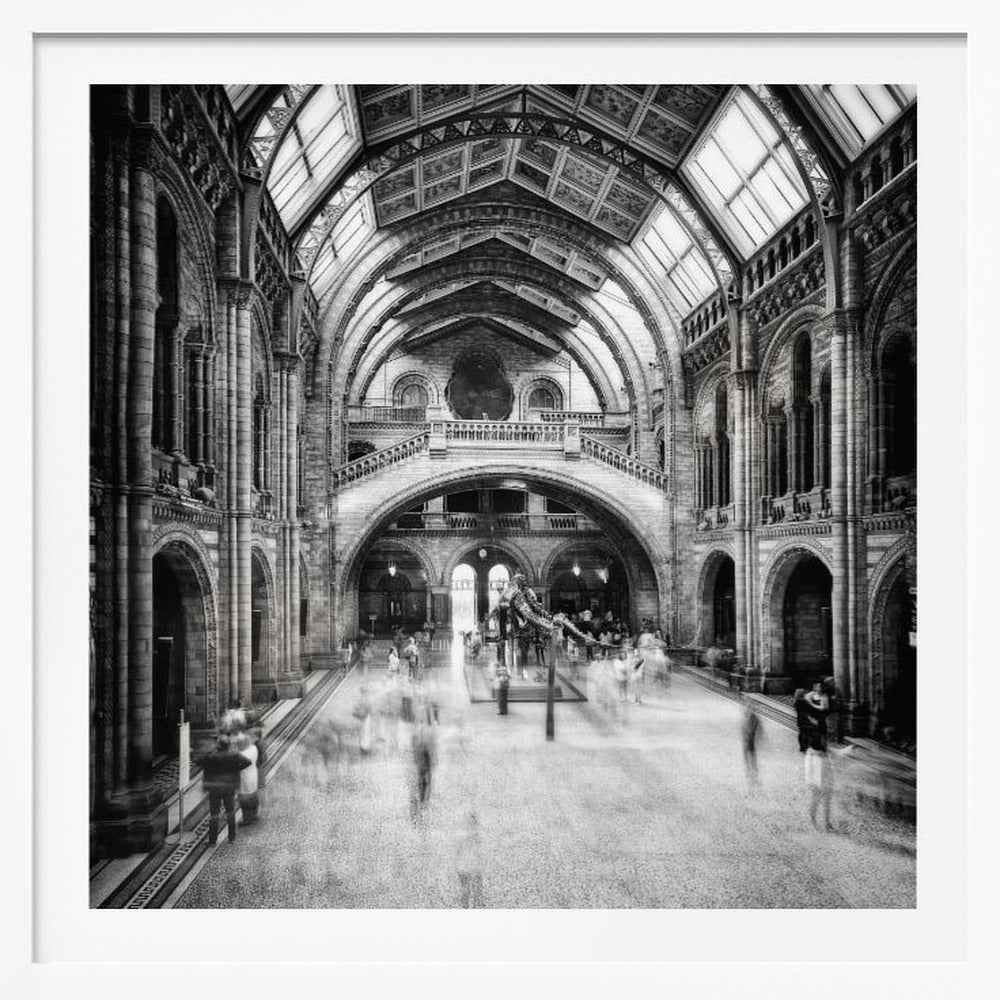 Natural History Museum of London - Poster / Art Print