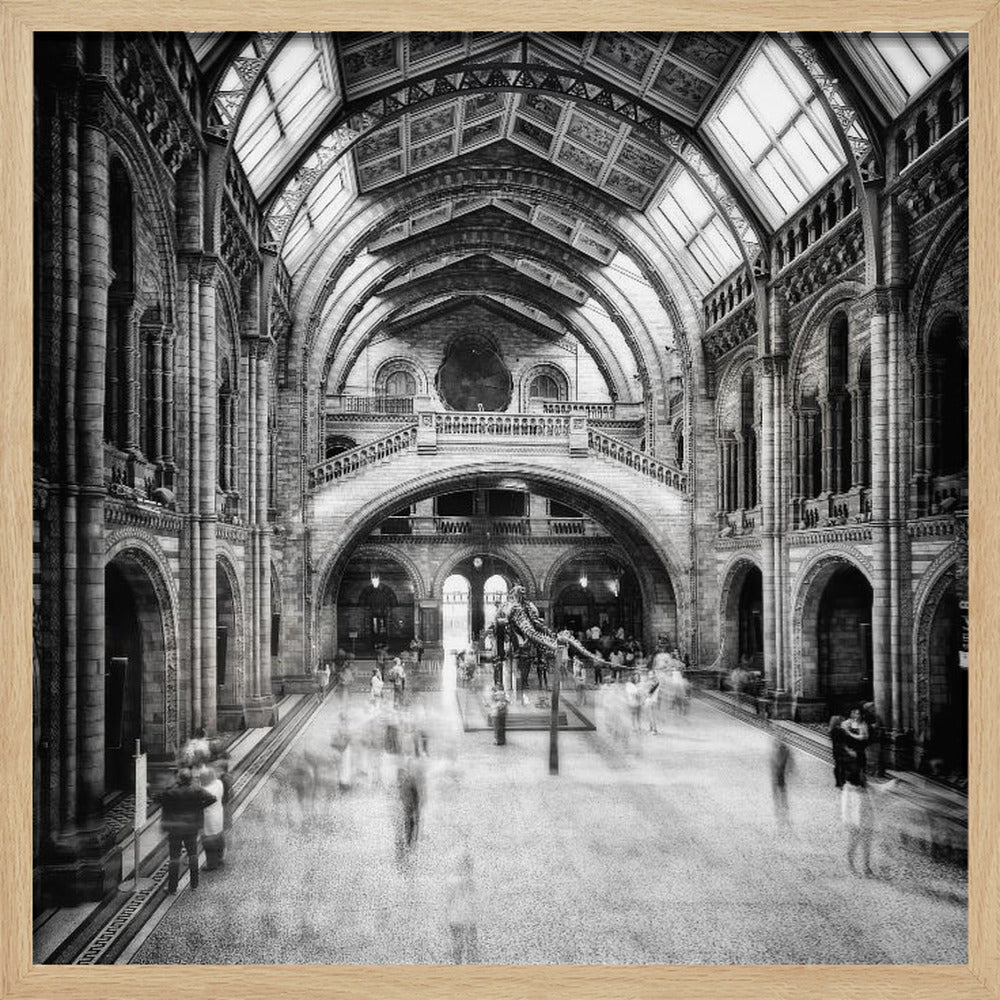 Natural History Museum of London - Poster / Art Print