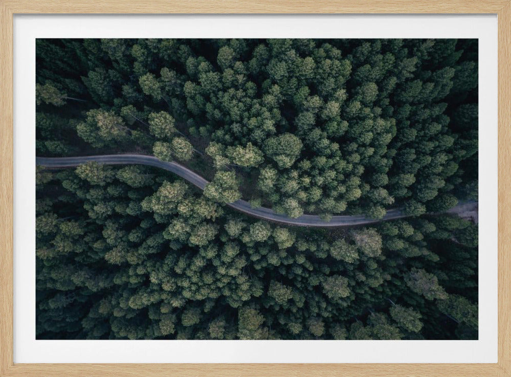 From above - Poster / Art Print