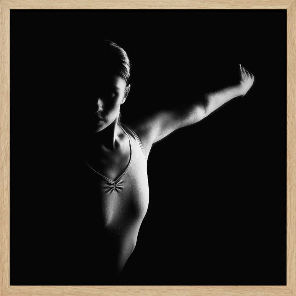 n/t - Poster / Art Print