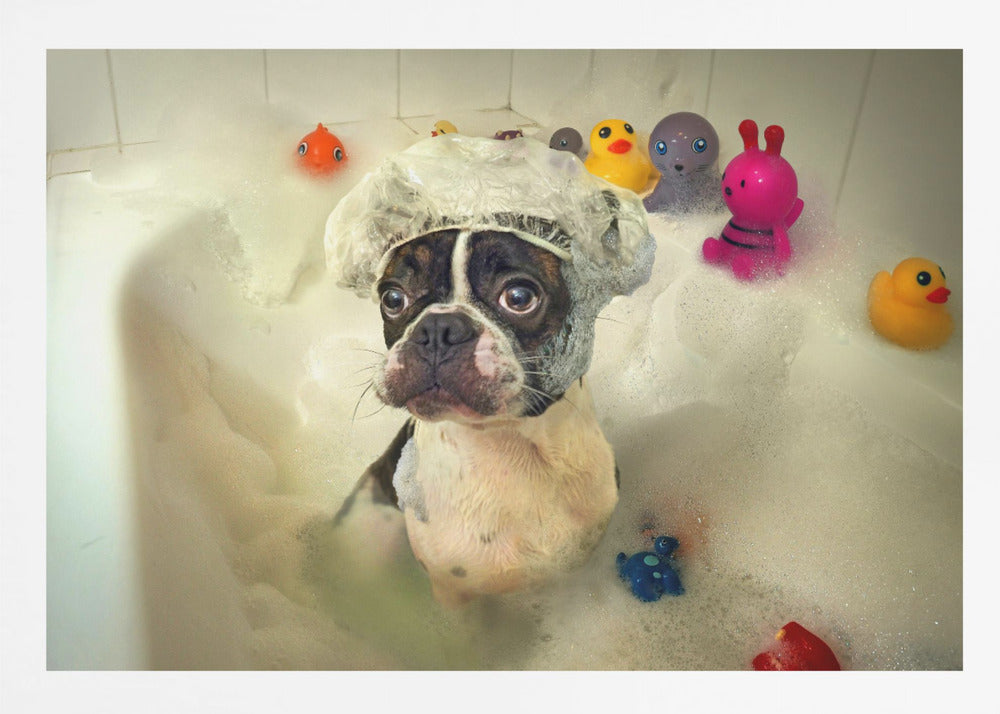The Bath - Poster / Art Print