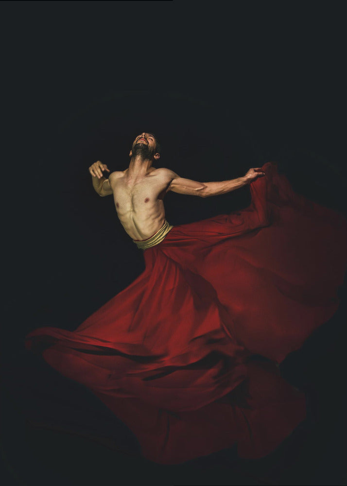 Fly - Poster / Art Print