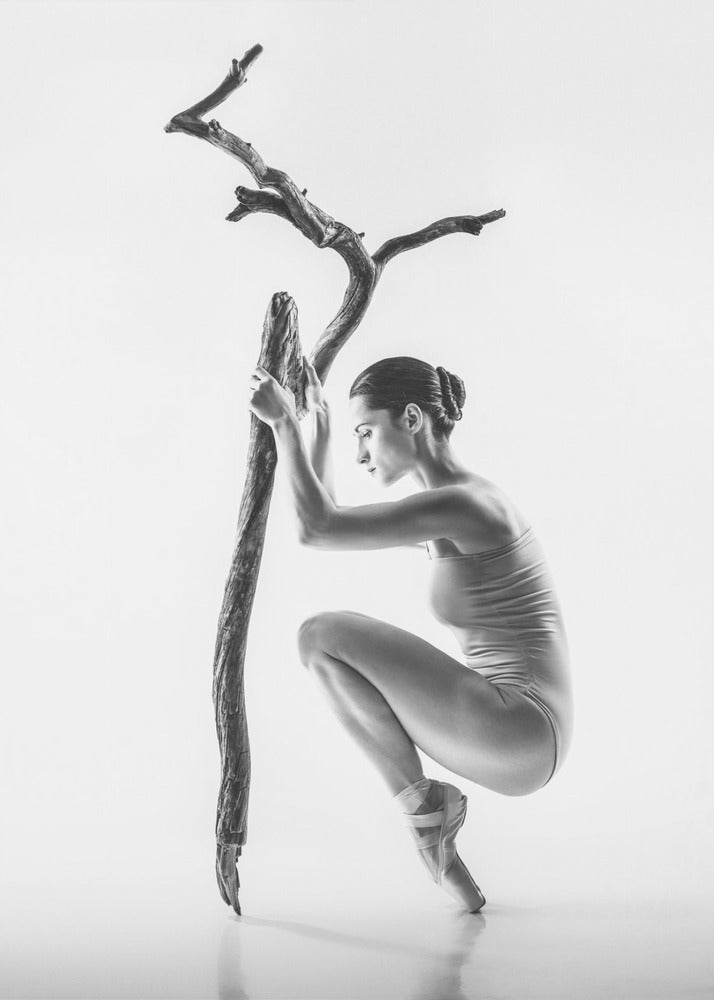 tree - Poster / Art Print